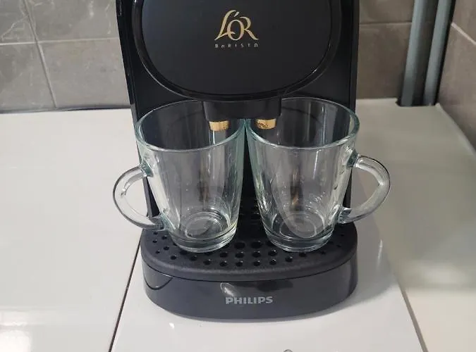 Apartment The Jungle