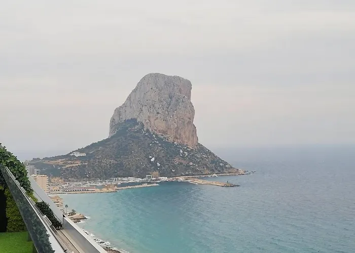 The Jungle Apartment