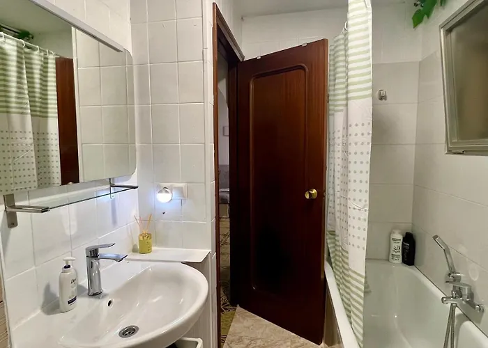 The Jungle Apartment *