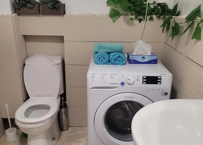 Apartment The Jungle